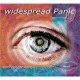 WIDESPREAD PANIC - Don´t tell the band